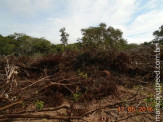 PMA autua fazendeiro em R$ 6 mil por desmatamento ilegal de 5,3 hectares de vegetação de cerrado