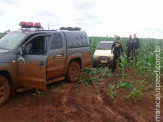 DOF apreende 65 mil em cigarro contrabandeado na região de Laguna Carapã