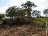 PMA autua fazendeiro em R$ 6 mil por desmatamento ilegal de 5,3 hectares de vegetação de cerrado