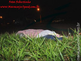 Maracaju: Jovem esfaqueado em orgia as margens do Rio Cachoeira na madrugada de domingo, morre antes ou após capotamento na BR-267