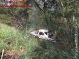 Maracaju: Veículo pega fogo após acidente na Rodovia MS-157, que interliga Maracaju a Itaporã