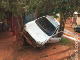 Maracaju: Adolescente de apenas 16 anos de idade conduzindo veículo decola e estaciona em cima de árvore na Vila Adrien