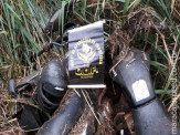 DOF apreende quatro “cicloconhas” em Maracaju