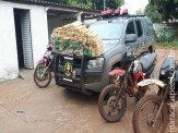 DOF apreende quatro “cicloconhas” em Maracaju