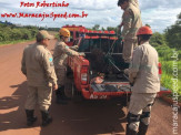 Maracaju: Bombeiros realizam captura de animais silvestre: capivara, cateto e jiboia em perímetro urbano