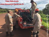 Maracaju: Bombeiros realizam captura de animais silvestre: capivara, cateto e jiboia em perímetro urbano