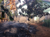 PMA flagra professora realizando incêndio em resíduos em terreno e lhe aplica multa de R$ 1,5 mil