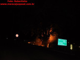 Maracaju: Figueira na entrada de Maracaju pega fogo