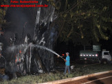 Maracaju: Figueira na entrada de Maracaju pega fogo