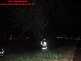Maracaju: Figueira na entrada de Maracaju pega fogo