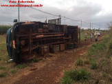 Maracaju: Caminhão com bezerros tomba na BR-267