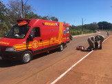 Maracaju: Ciclista cai ao atropelar cachorro