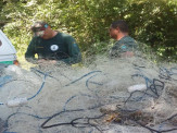 Polícia Militar Ambiental de Anaurilândia apreende 1.500 metros de redes de pesca e solta 27 kg de pescado no rio