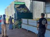 Maracaju: Polícia Civil realiza incineração de mais de 6 toneladas de drogas apreendidas