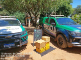 PMA e Força Verde do Paraná prendem pedagoga gaúcha com 93,5 kg de maconha em veículo produto de roubo no Rio Grande do Sul