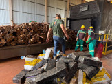 DEFRON incinera 12,7 toneladas de drogas em Ponta Porã
