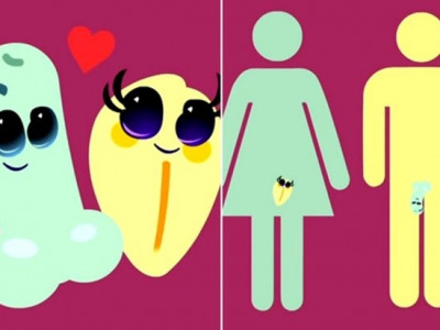 Animação infantil mostrando desenhos de órgãos genitais causa polêmica na internet