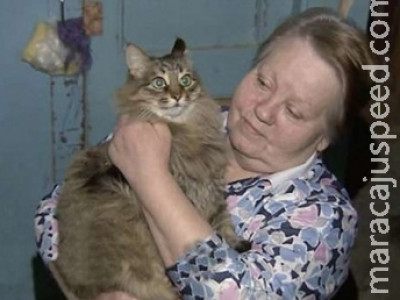 Gata salva a vida de bebê abandonado em prédio
