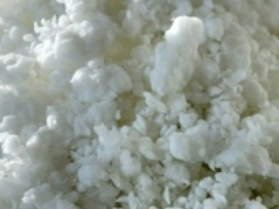 Nova fábrica de celulose no MS recebe licença de instalação