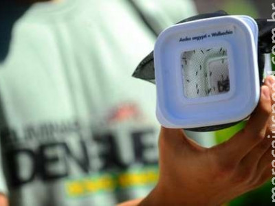 Prefeitura de Três Lagoas investiga morte por dengue