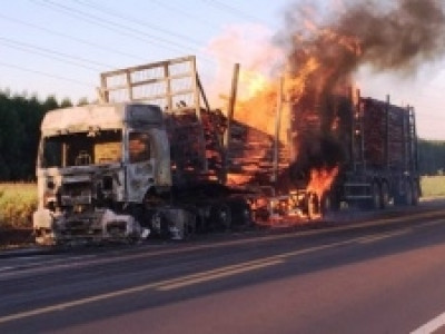 Carreta carregada com eucalipto é destruída pelas chamas na BR-262