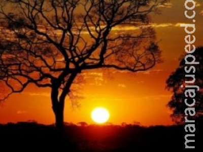 Horário de Verão termina no próximo domingo, dia 22 de fevereiro 