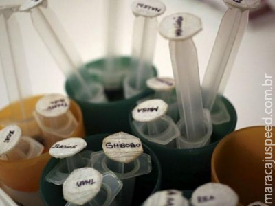 Cuba descobre variante mais agressiva e preocupante do vírus HIV