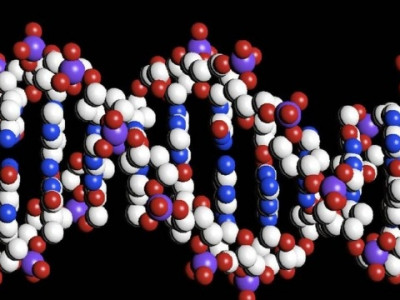 Cientistas criam técnica para armazenar dados em DNA por milhares de anos