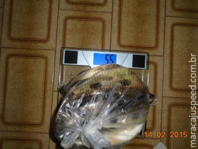 PMA prende cinco por pesca predatória e com arma de caça ilegal