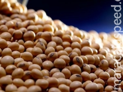 Soja é usada como biofábrica de proteína contra a AIDS