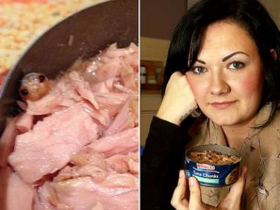  Britânica acha parasita "comedor de linguas" em lata de atum