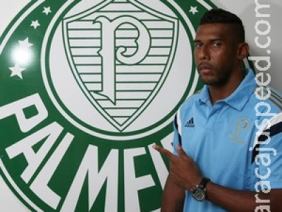 Palmeiras anuncia contratação do goleiro Aranha por uma temporada
