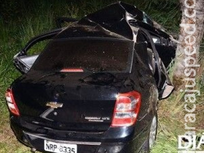 Homem é preso após bater o carro na fuga com aves silvestres