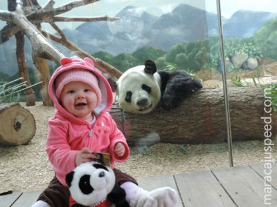 Panda vira hit ao sorrir para foto com bebê nos EUA