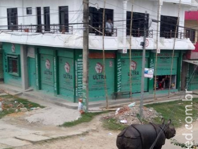 Rinoceronte foge de reserva florestal, invade a cidade e mata mulher