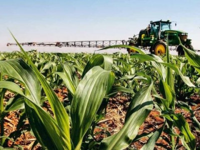 Brasil terá aumento na 2ª colheita de milho em 2015