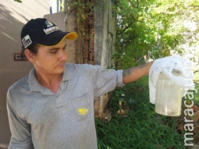 Suposto coração humano encontrado em frasco no lixão assombra catadores