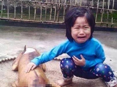 Menina de 5 anos chora ao achar seu cão perdido sendo assado