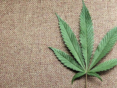 Uso de maconha na adolescência causa perda de memória no futuro