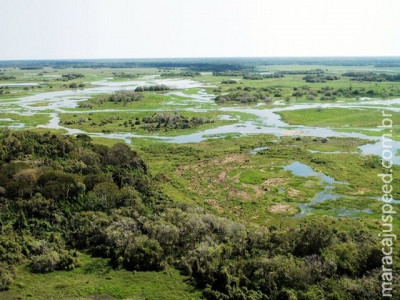Famasul e Aprosoja/MS pedem prorrogação de prazo para Cadastro Ambiental Rural