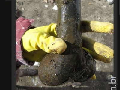 Escavação na Polônia encontra brinquedo sexual de 300 anos
