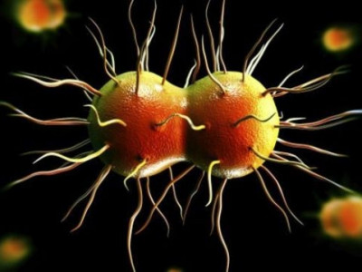 As ameaças ocultas da infecção vaginal mais comum
