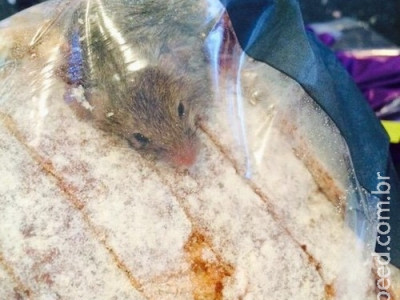 Cliente acha rato vivo dentro de saco de pão comprado em supermercado