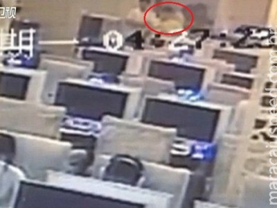 Mulher dá à luz em cibercafé e volta a jogar on-line