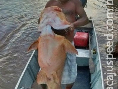 Motorista e pescador fisgam jaú de 35 kg no rio Taquari