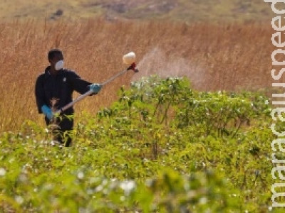 Nova cartilha da ONU tem por objetivo proteger crianças de pesticidas