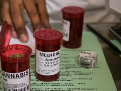 Exército da Itália cultiva maconha em fazenda
