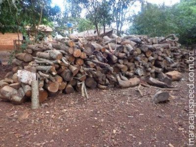 Arrendatário é multado em R$ 5,4 mil por armazenar madeira ilegalmente