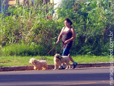 Cães lideram preferência e estão em 54,9% dos domicílios de MS