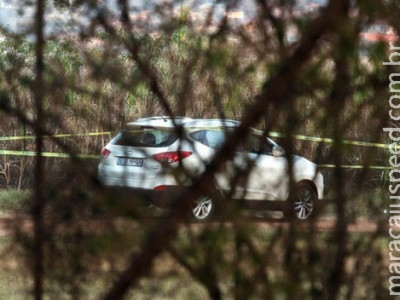 Carro invadido por leão em parque é fotografado após morte de turista